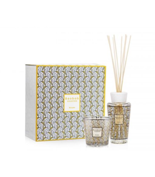 Baobab Collection - My First Baobab - Brussels Gift Box