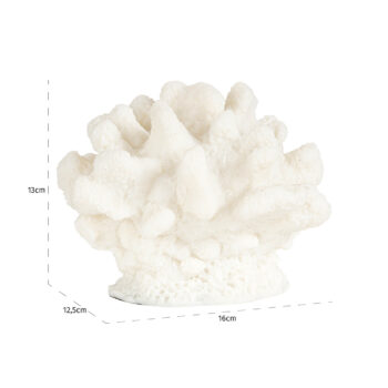 - Faux koraal Mare (White)