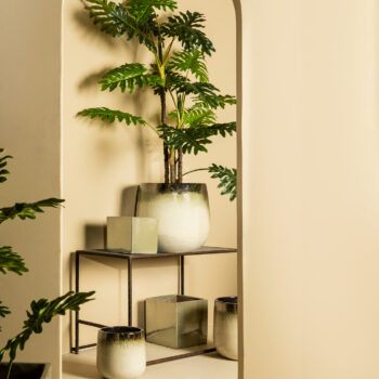 oliver cream ceramic pot ombre round sv3