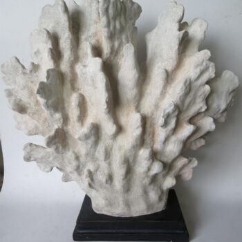 chique concept wit koraal resin 66x22x66cm