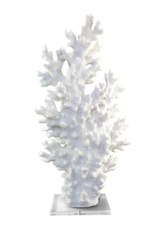 chique concept wit koraal op plexi voet 29x10x33cm (kopie)