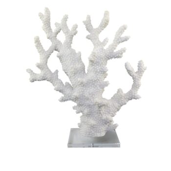 chique concept wit koraal resin 39x25x21cm (kopie)