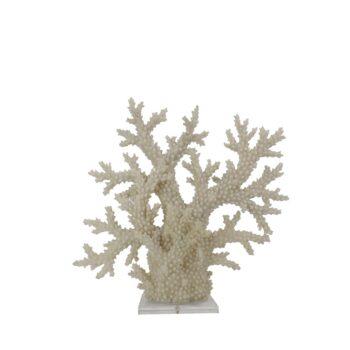 chique concept wit koraal op plexi voet 31x15x60cm (kopie)