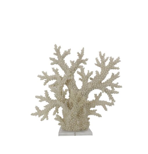 chique concept wit koraal op plexi voet 31x15x60cm (kopie)