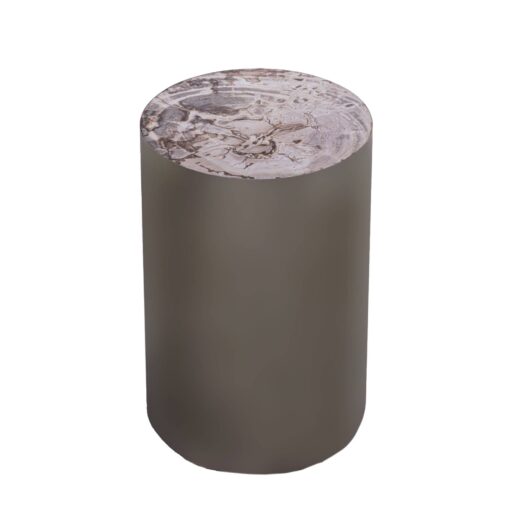 rillix natural petrified wood sidetable nickel rnd