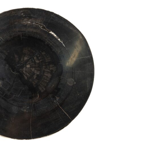 rillix black petrified wood sidetable nickel round