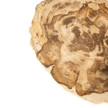jisse natural petrified wood sidetable twist base