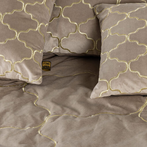lizze beige velvet cushion embroidery square s (set of 2)