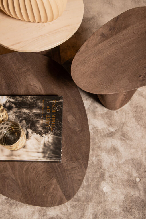 harshad brown mango wood coffee table organic