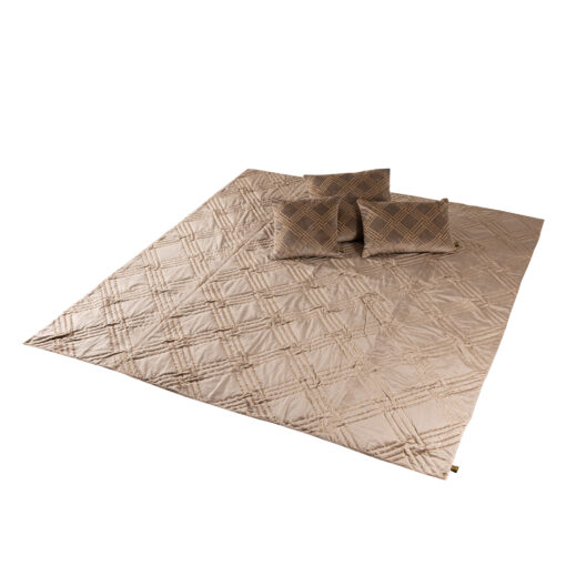 cerine brown velvet cushion embroidery square s (set of 2)