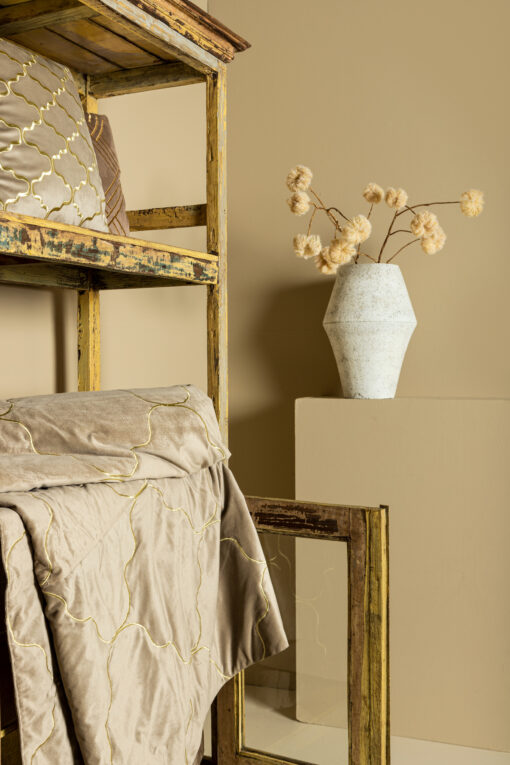 lizze beige velvet cushion embroidery square s (set of 2)