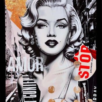 nyc marilyn – raphaël vanderhaegen