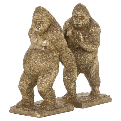 - Boekenstandaards Donky gold