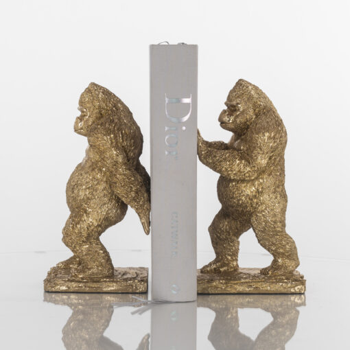 - Boekenstandaards Donky gold
